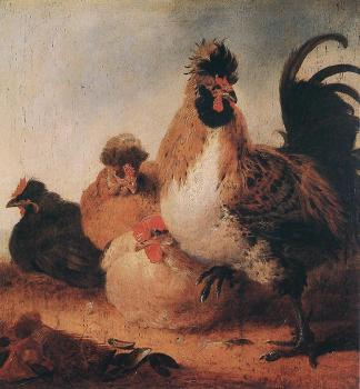 Aelbert Cuyp : Rooster And Hens